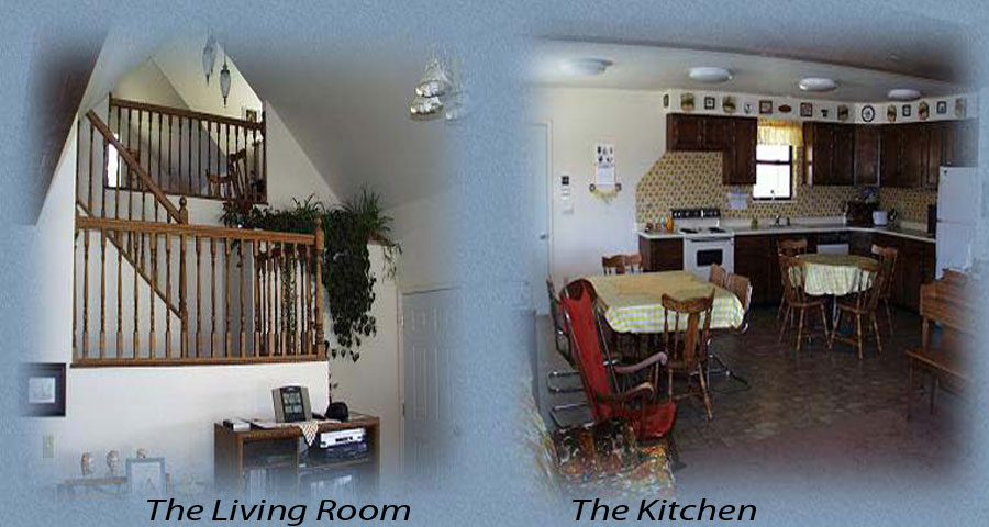 The Living romm and the kitchen and dining area