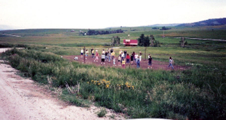 Group playing volleyball